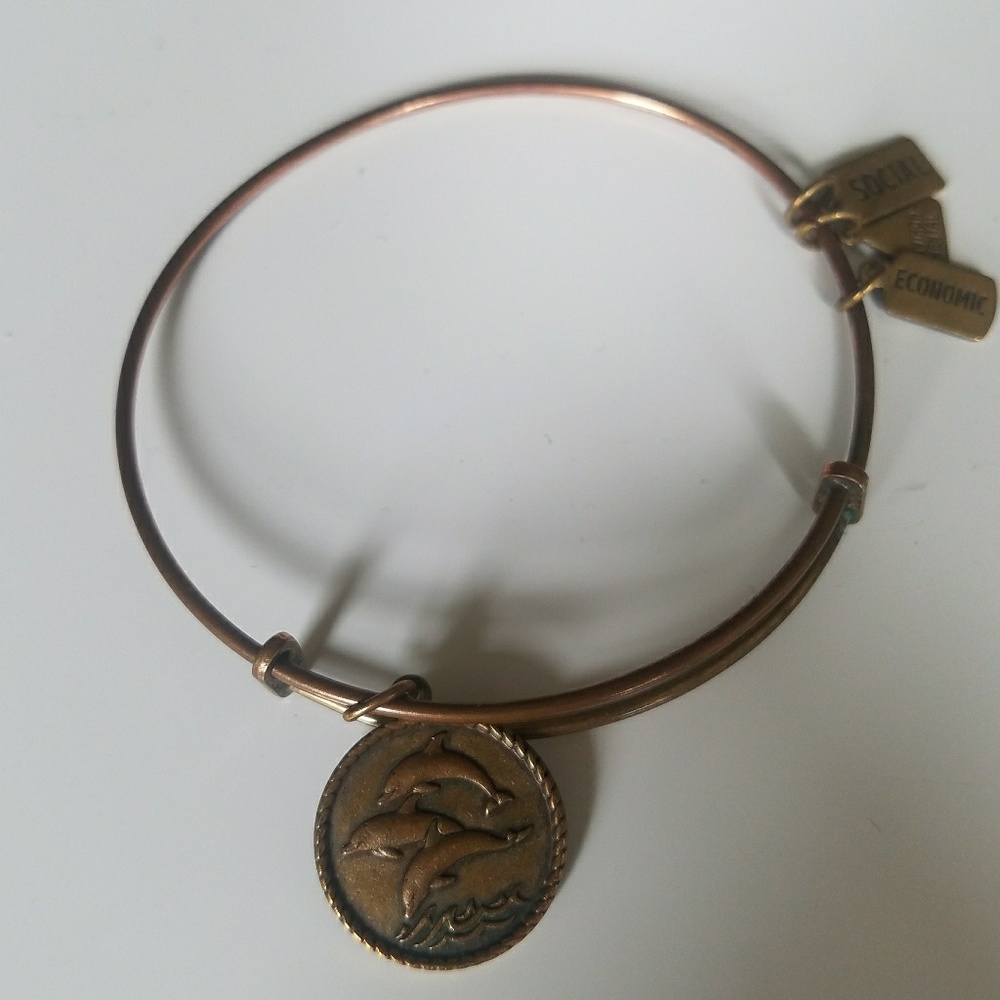 Wind & Fire dolphin energy bangle